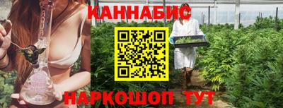 индика Пыть-Ях